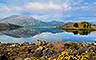 The Loch Ness Monster Chapter 9 Badge - Undiscovered World The Loch Ness Monster Chapter 9 Badge - Undiscovered World