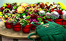 The Growing Mystery Badge - Claire Hart Classic The Growing Mystery Badge - Claire Hart Classic