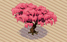 Cherry Blossom Tree (dark) Badge - Solitaire Gardens Cherry Blossom Tree (dark) Badge - Solitaire Gardens
