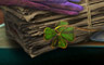 Episode 67 Badge - Sherlock Holmes Episode 67 Badge - Sherlock Holmes