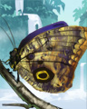 Owl Butterfly Badge - Jungle Gin HD Owl Butterfly Badge - Jungle Gin HD