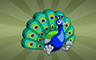 Stuffed Peacock Badge - Poppit! Bingo Stuffed Peacock Badge - Poppit! Bingo