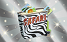 Silver Safari Album Badge - Poppit! Bingo Silver Safari Album Badge - Poppit! Bingo