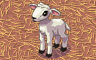 Large White Sheep Badge - Solitaire Gardens Large White Sheep Badge - Solitaire Gardens