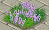 Violet Wildflowers Badge - Solitaire Gardens Violet Wildflowers Badge - Solitaire Gardens