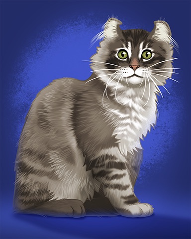 American Curl Badge - Jungle Gin American Curl Badge - Jungle Gin