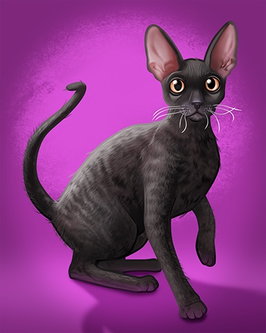Cornish Rex Badge - Lottso! Express HD Cornish Rex Badge - Lottso! Express HD