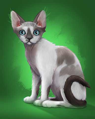 Devon Rex Badge - Royal Wedding: One Year Later Devon Rex Badge - Royal Wedding: One Year Later