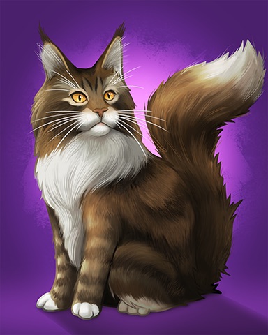 Maine Coon Badge - Aces Up! HD Maine Coon Badge - Aces Up! HD