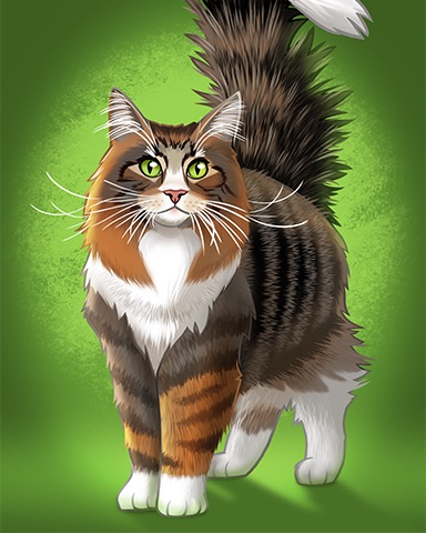 Norwegian Forest Cat Badge - Poppit! Bingo Norwegian Forest Cat Badge - Poppit! Bingo