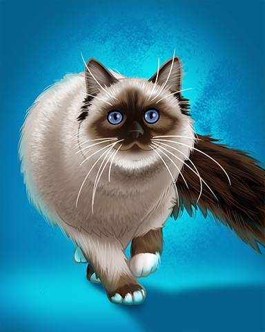Ragdoll Badge - Double Deuce Poker HD Ragdoll Badge - Double Deuce Poker HD