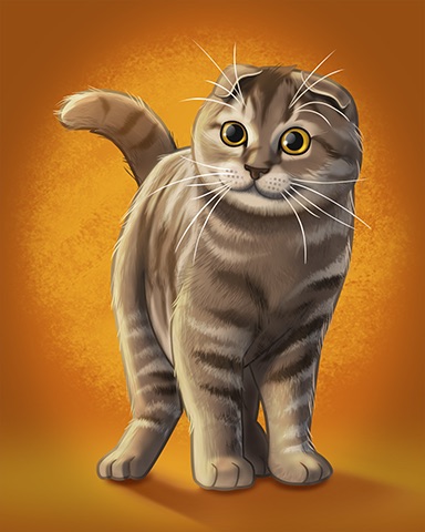 Scottish Fold Badge - Trizzle Scottish Fold Badge - Trizzle
