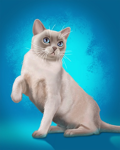 Tonkinese Badge - Big City Adventure Tonkinese Badge - Big City Adventure