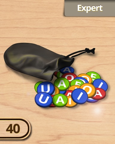 40 Expert Challenge Badge - A Way With Words 40 Expert Challenge Badge - A Way With Words