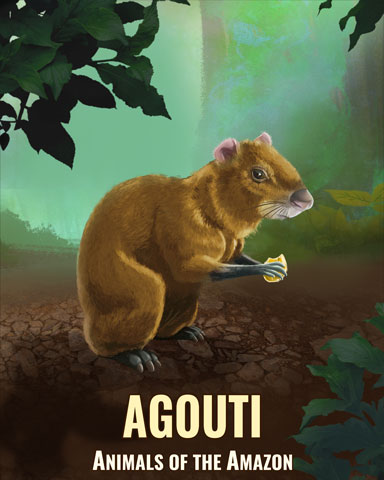 Agouti Badge - Mahjong Sanctuary Agouti Badge - Mahjong Sanctuary