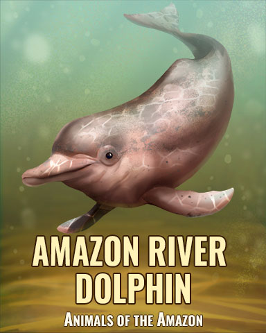 Amazon River Dolphin Badge - Jungle Gin HD Amazon River Dolphin Badge - Jungle Gin HD