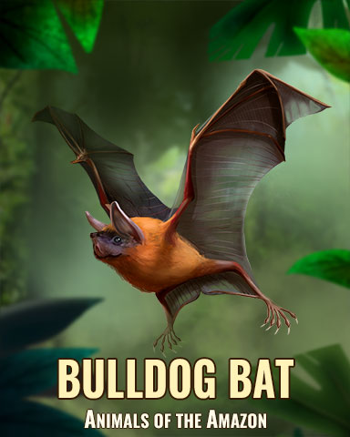 Bulldog Bat Badge - Bookworm HD Bulldog Bat Badge - Bookworm HD