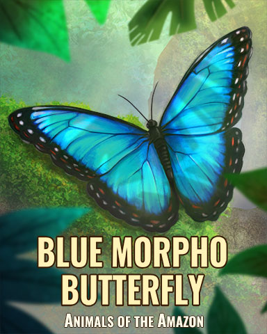 Blue Morpho Butterfly Badge - From France With Love Blue Morpho Butterfly Badge - From France With Love