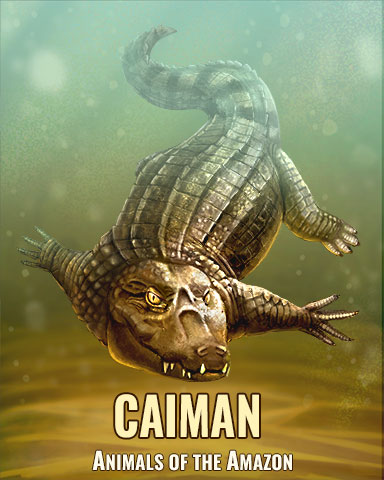 Caiman Badge - Jewel Academy Caiman Badge - Jewel Academy