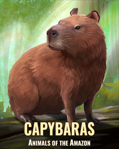 Capybara Badge - Poppit!™ HD Capybara Badge - Poppit!™ HD