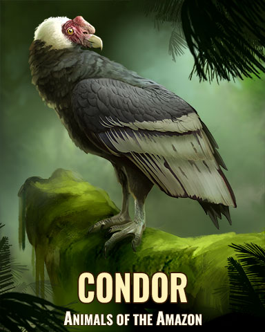 Condor Badge - Pogo Addiction Solitaire HD Condor Badge - Pogo Addiction Solitaire HD