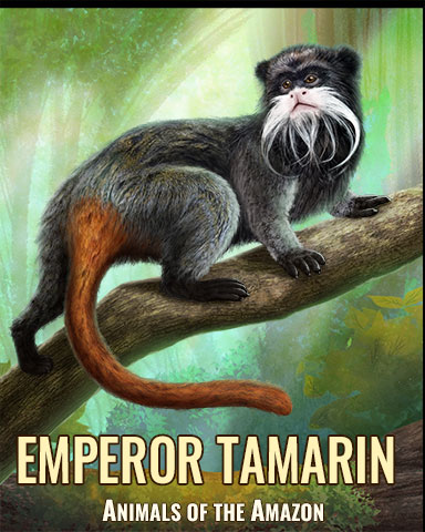 Emperor Tamarin Monkey Badge - Tri-Peaks Solitaire HD Emperor Tamarin Monkey Badge - Tri-Peaks Solitaire HD