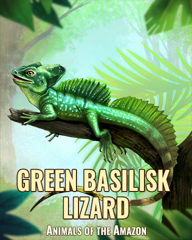 Green Basilisk Lizard Badge - World Class Solitaire HD Green Basilisk Lizard Badge - World Class Solitaire HD