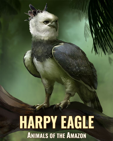 Harpy Eagle Badge - Mahjong Garden HD Harpy Eagle Badge - Mahjong Garden HD