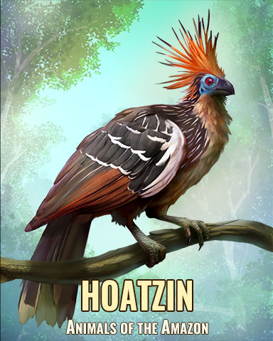 Hoatzin Badge - Solitaire Blitz Hoatzin Badge - Solitaire Blitz