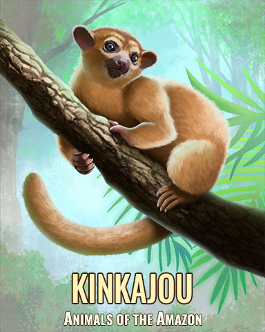 Kinkajou Badge - Poppit! Party Kinkajou Badge - Poppit! Party