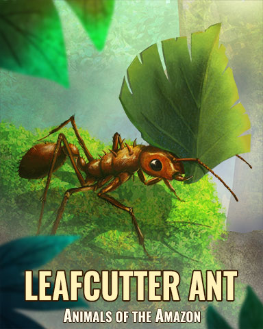 Leaf Cutter Ant Badge - Word Whomp HD Leaf Cutter Ant Badge - Word Whomp HD