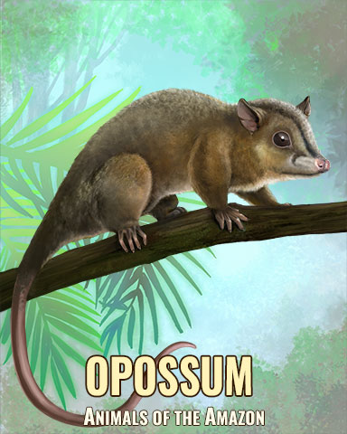 Opossum Badge - Snowbird Solitaire Opossum Badge - Snowbird Solitaire