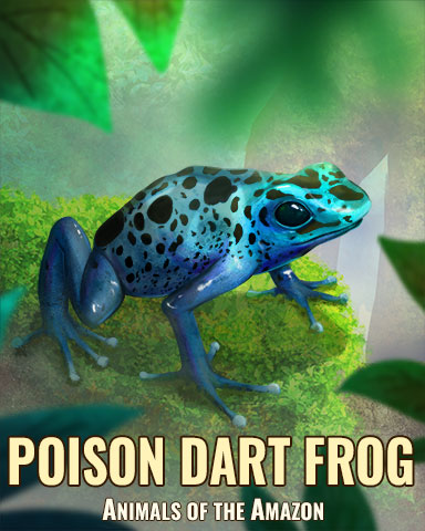 Poison Dart Frog Badge - Rainy Day Spider Solitaire HD Poison Dart Frog Badge - Rainy Day Spider Solitaire HD