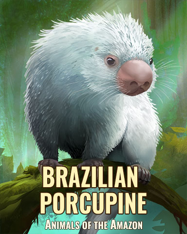 Brazilian Porcupine Badge - StoryQuest Brazilian Porcupine Badge - StoryQuest
