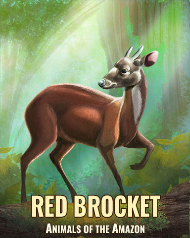Red Brocket Badge - Poppit! Bingo Red Brocket Badge - Poppit! Bingo