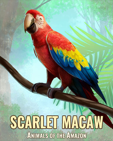 Scarlet Macaw Badge - Jigsaw Treasure Hunter HD Scarlet Macaw Badge - Jigsaw Treasure Hunter HD