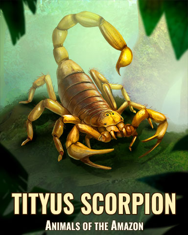 Tityus Scorpion Badge - Sweet Tooth Town Tityus Scorpion Badge - Sweet Tooth Town