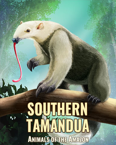 Southern Tamandua Badge - Mahjong Sanctuary Southern Tamandua Badge - Mahjong Sanctuary