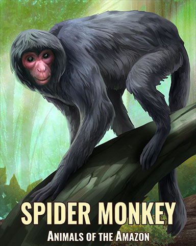 Spider Monkey Badge - Jewel Academy Spider Monkey Badge - Jewel Academy