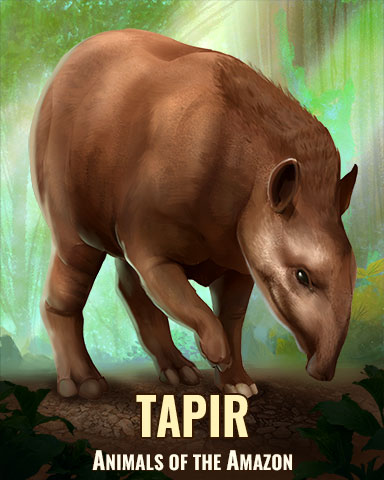 Tapir Badge - Stack'em HD Tapir Badge - Stack'em HD