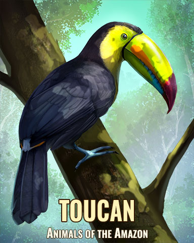 Toucan Badge - Claire Hart: Secret In The Shadows Toucan Badge - Claire Hart: Secret In The Shadows