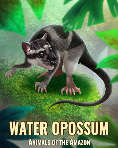 Water Opossum Badge - Solitaire Blitz Water Opossum Badge - Solitaire Blitz