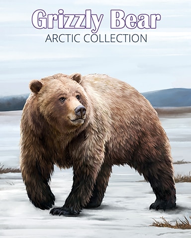 Grizzly Bear Arctic Animals Badge - StoryQuest Grizzly Bear Arctic Animals Badge - StoryQuest