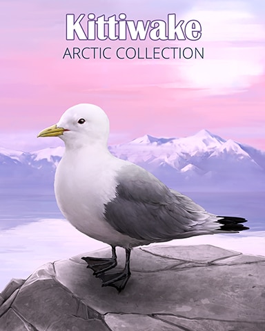 Kittiwake Arctic Animals Badge - StoryQuest Kittiwake Arctic Animals Badge - StoryQuest
