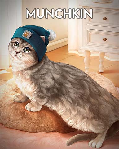 Munchkin Cats In Hats Badge - Mahjong Safari HD Munchkin Cats In Hats Badge - Mahjong Safari HD