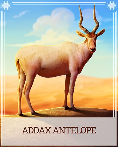 Addax Antelope Desert Wonders Badge - Sweet Tooth Town Addax Antelope Desert Wonders Badge - Sweet Tooth Town
