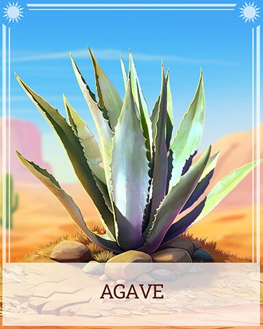 Agave Desert Wonders Badge - Tri-Peaks Solitaire HD Agave Desert Wonders Badge - Tri-Peaks Solitaire HD