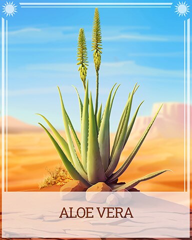 Aloe Vera Desert Wonders Badge - Dice City Roller HD