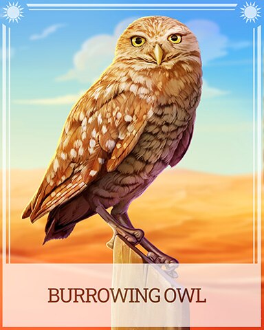 Burrowing Owl Desert Wonders Badge - Pogo™ Slots Burrowing Owl Desert Wonders Badge - Pogo™ Slots