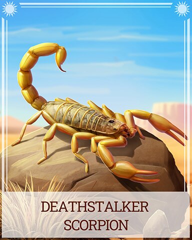 Deathstalker Scorpion Desert Wonders Badge - Bookworm HD Deathstalker Scorpion Desert Wonders Badge - Bookworm HD